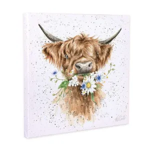 'Daisy Cow' Canvas