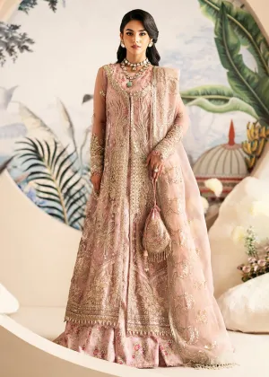 Inayat Festive Formals '24 by AJR Couture | Begonia